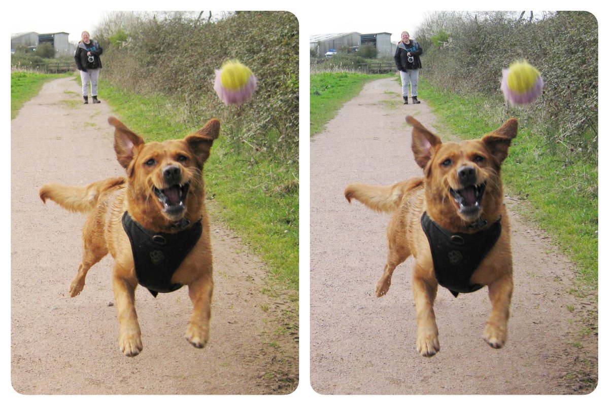 This pup - Punky - sure is loving the joys of Spring over Easter weekend. Thank you for sharing Dave Wynn of Wales. Let's see your Spring / Easter stereo snaps - please share tagging @londonstereo and / or email to nicole@londonstereo.com