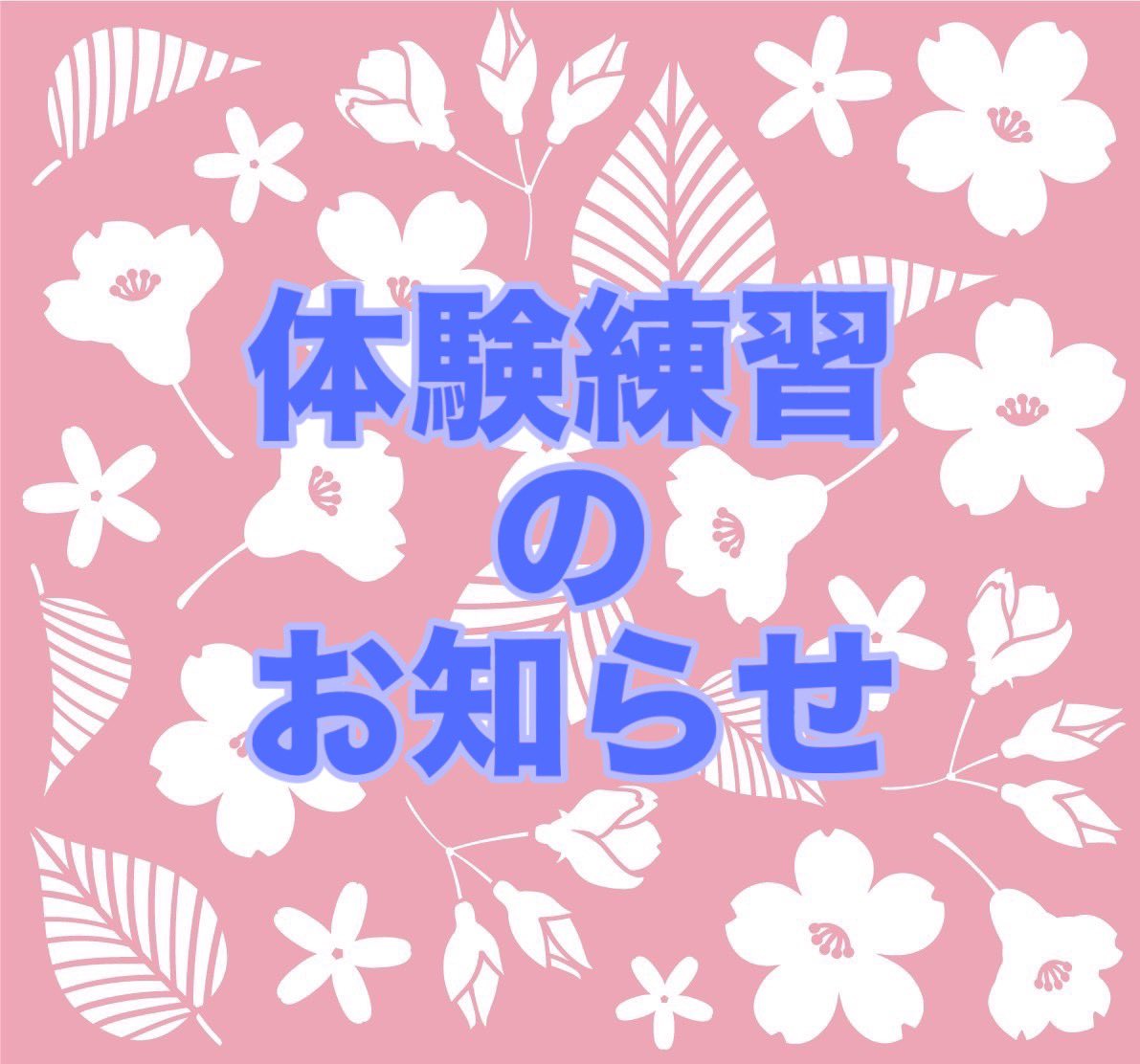T_univ_flow's tweet photo. こんにちは！お茶の水女子大学ジャズダンスサークルflowです✨体験練習のお知らせです！
お申込はこちらから→https://t.co/XiOQbZFYUK
お気軽にDMください！ https://t.co/vn3cExffWP
