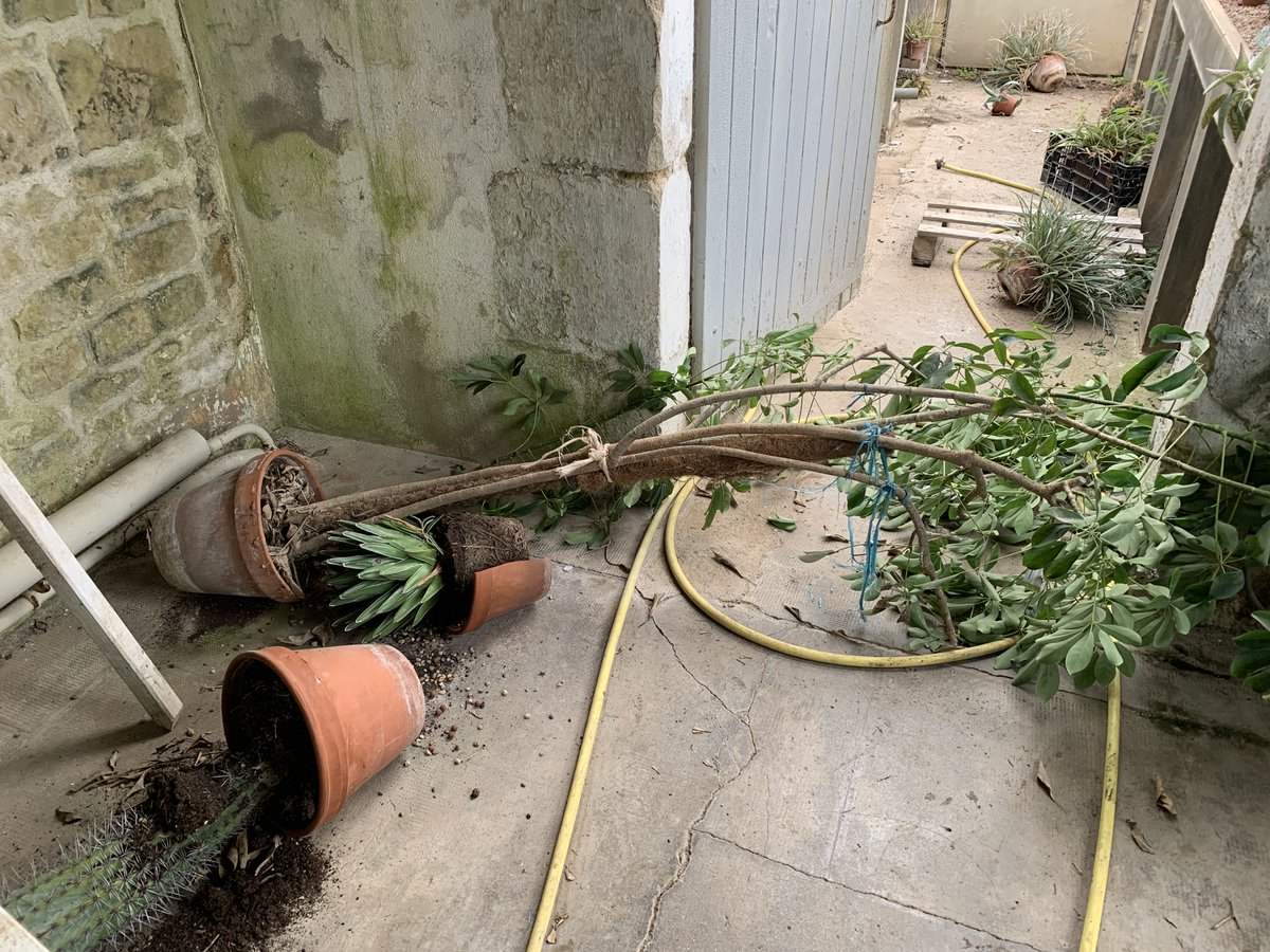 tlsv85's tweet photo. 🔴#faitdivers #Luçon. 2 semaines après des dégradations volontaires, le jardin Dumaine a été une nouvelle fois la cible d'actes de vandalisme.
Hier, les dernières vasques situées à proximité du bassin octogonal ont été cassées. 
🎥🎤A voir ce soir sur https://t.co/ekFmDSYyDE https://t.co/CjqGnNVCel