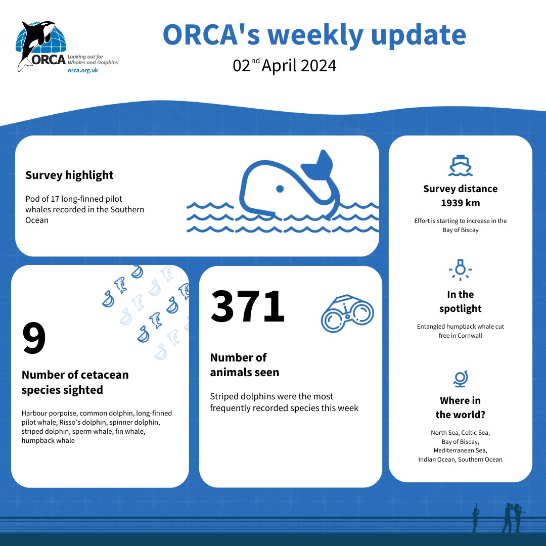 Here is our weekly snapshot summary of where ORCA has been and (most importantly) what we have seen... orca.org.uk