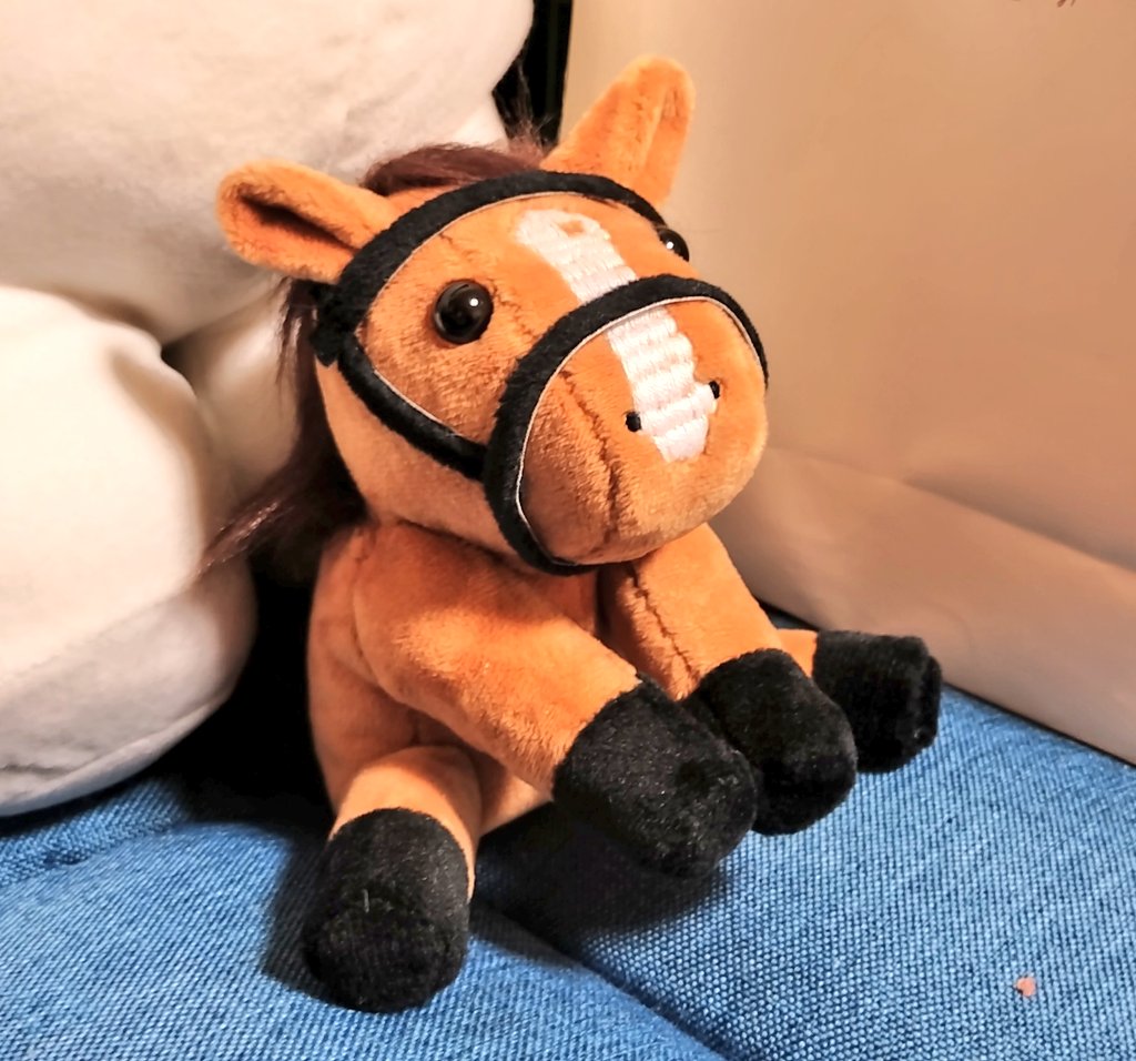 mpomizu100's tweet photo. 形不格好だけど自作アイドルホース出来た〜🐴ナランフレグ好きだよ〜🌞🏇 https://t.co/iZLApi9HSU
