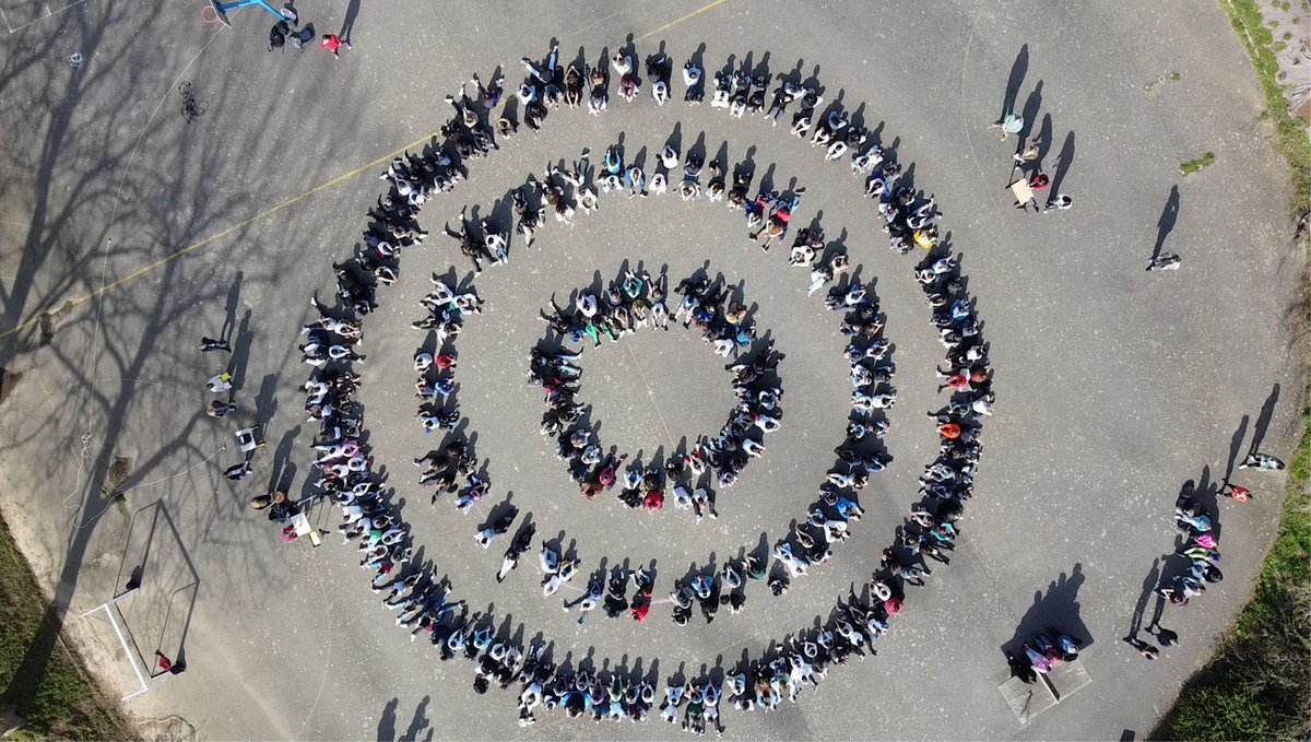 Collège Anita Conti - Lorient tweet media