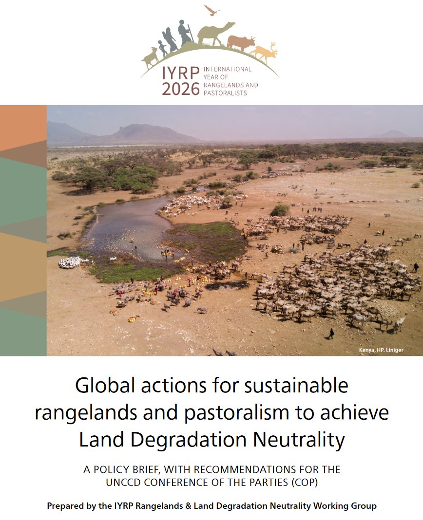 Rangelands & pastoralism must be valued and supported for their contribution to achieve local & global goals – particularly towards reaching Land Degradation Neutrality (LDN). Read this policy brief on global actions for sust. rangelands & pastoralism👉t.ly/lsDZu