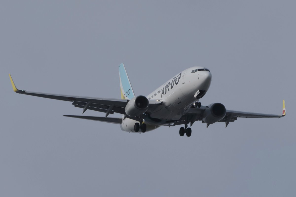 princessarete's tweet photo. #AIRDO
#JA15AN
#HD78
#MMB_HND
#Boeing_737_781 https://t.co/YChG2IvSAR