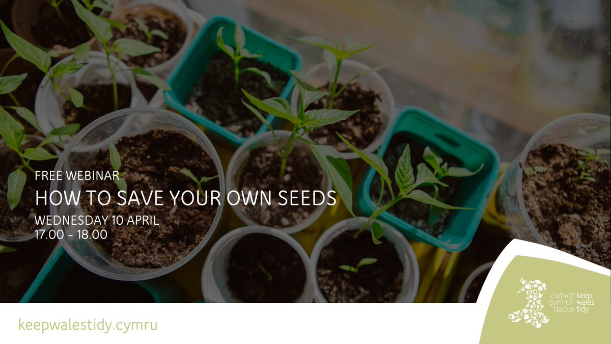We’re thrilled to be hosting the ‘How to Save your Own Seeds’ free webinar. We’ll be joined by Catrina Fenton, Head of the @HeritageSeedsUK, who will talk about best practice when it comes to harvesting your own seeds. 🌟🍓 bit.ly/4auEgnC