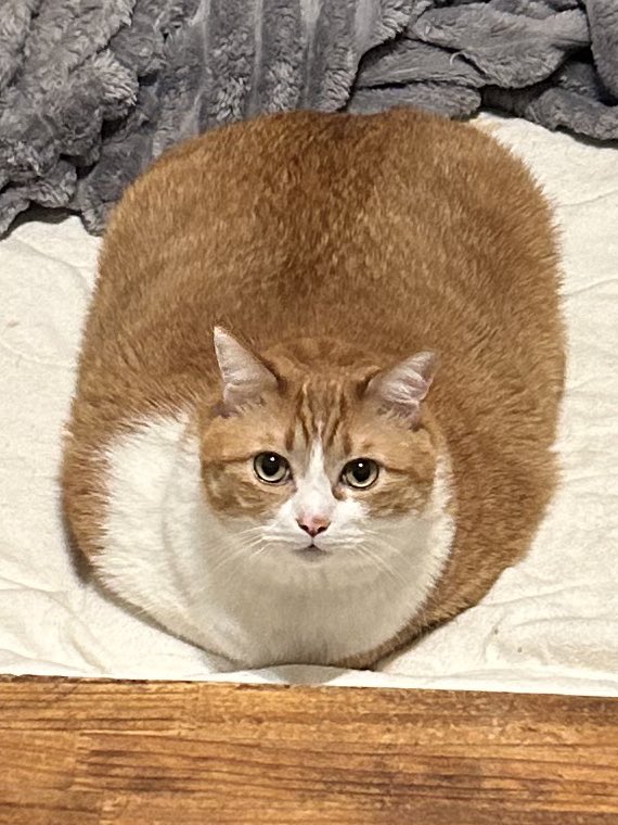 こいつまじで変わったな