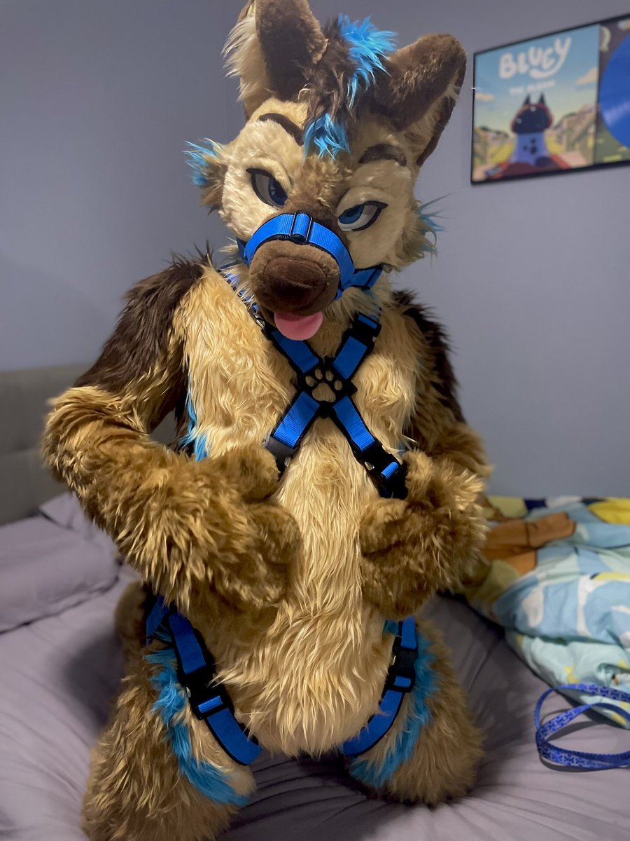 QRT with your fave pic of you in a harness