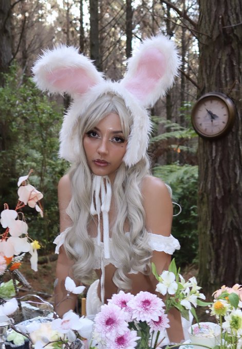 rabbit https://t.co/VlFTgAum7i