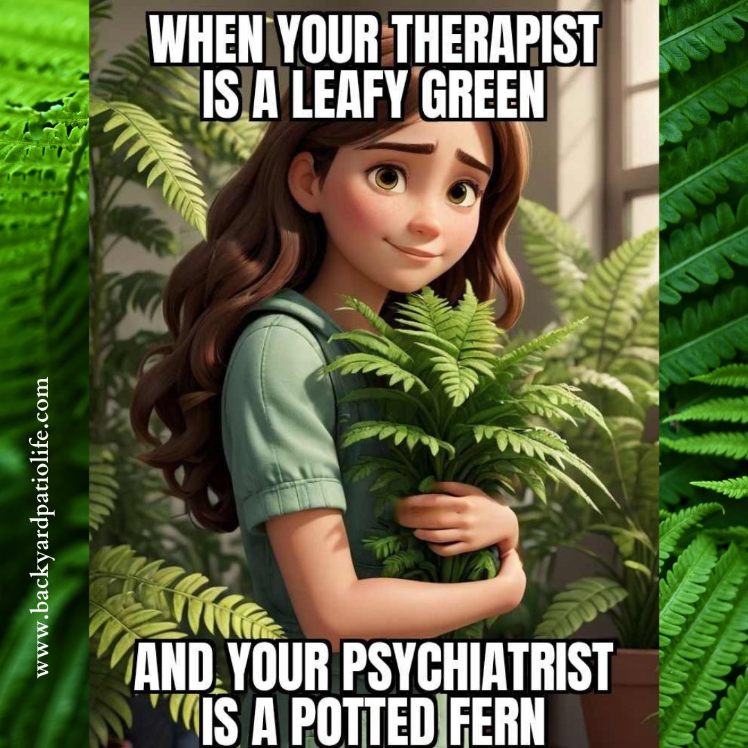 Backyard Patio Life tweet media