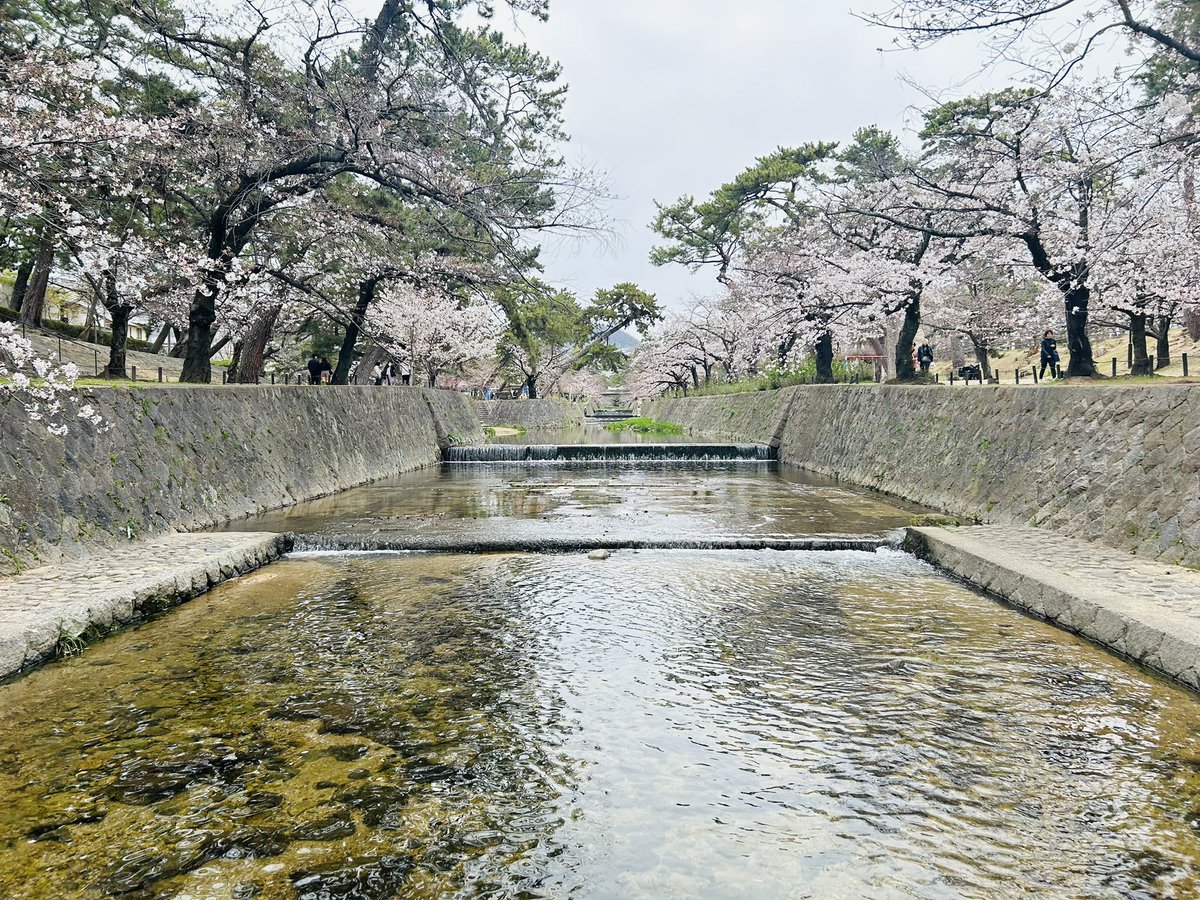 あいね @下手の民 tweet media