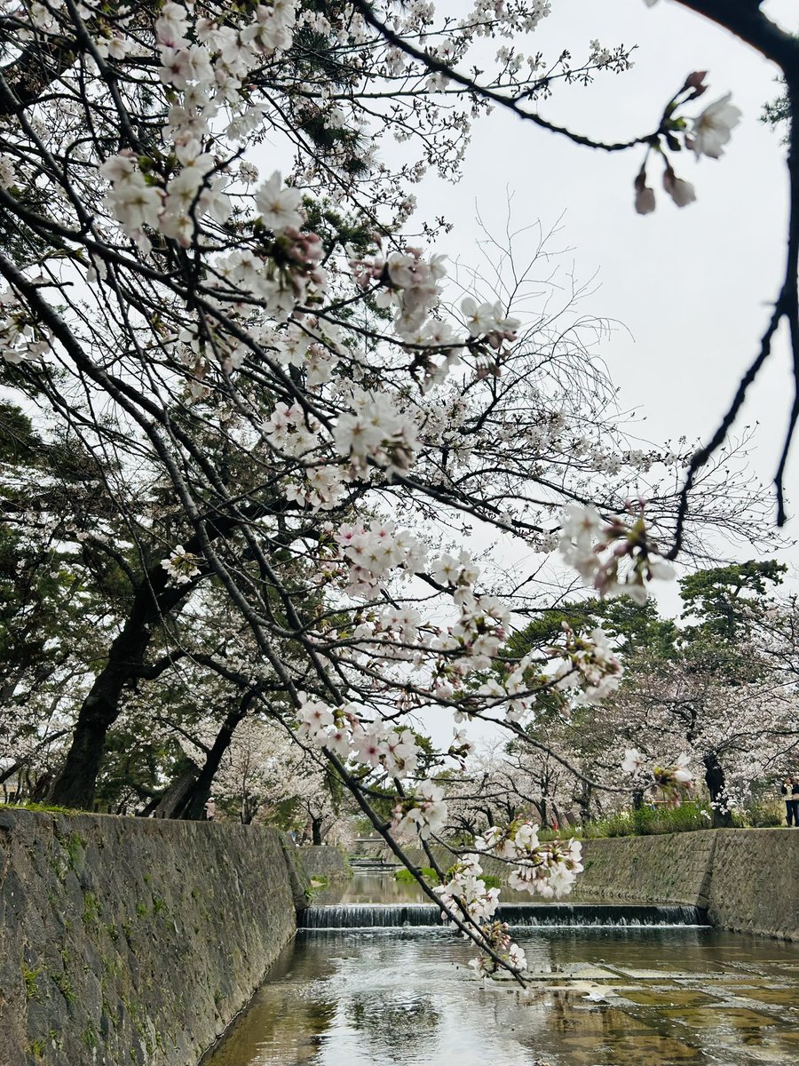 あいね @下手の民 tweet media