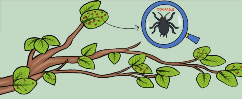 CBioNum's tweet image. La collaboration @PapierMache_Sci @CBioNum reprend cette année avec la publication des billets d'étudiant.e.s du M1 @bgaparis 
Pr commencer
Pourquoi les plantes ont-elles de l’acné ?
papiermachesciences.org/2024/04/01/pou…
Chez les poux : c’est bien la taille qui compte !
papiermachesciences.org/2024/04/01/che…