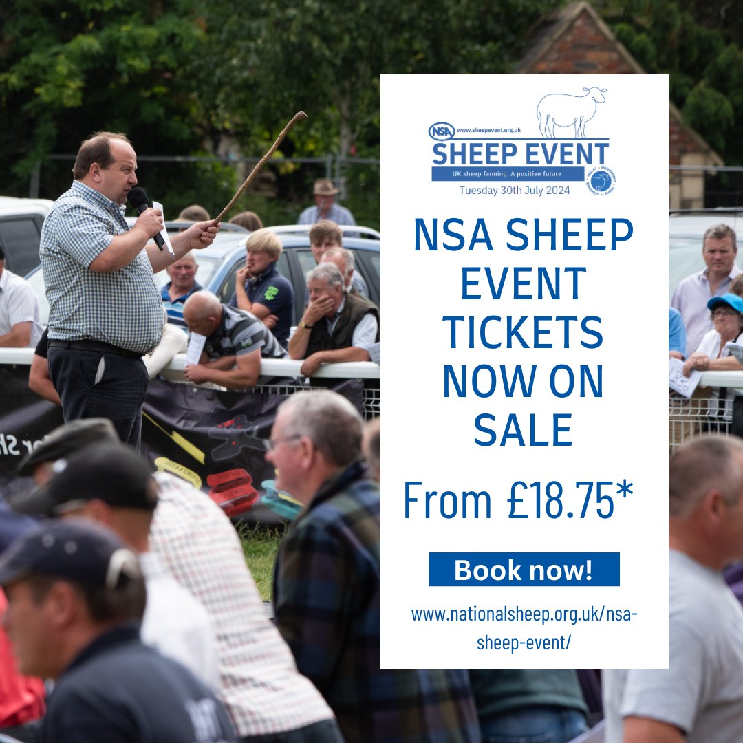 NSA Sheep Event tickets are now on sale!🐑🎪🎟

Book your ‘Flock First Super Saver’ tickets for £18.75 💥

Book now⤵
nationalsheep.org.uk/nsa-sheep-even…

*NSA members gain FREE entry to this event

#Sheep2024