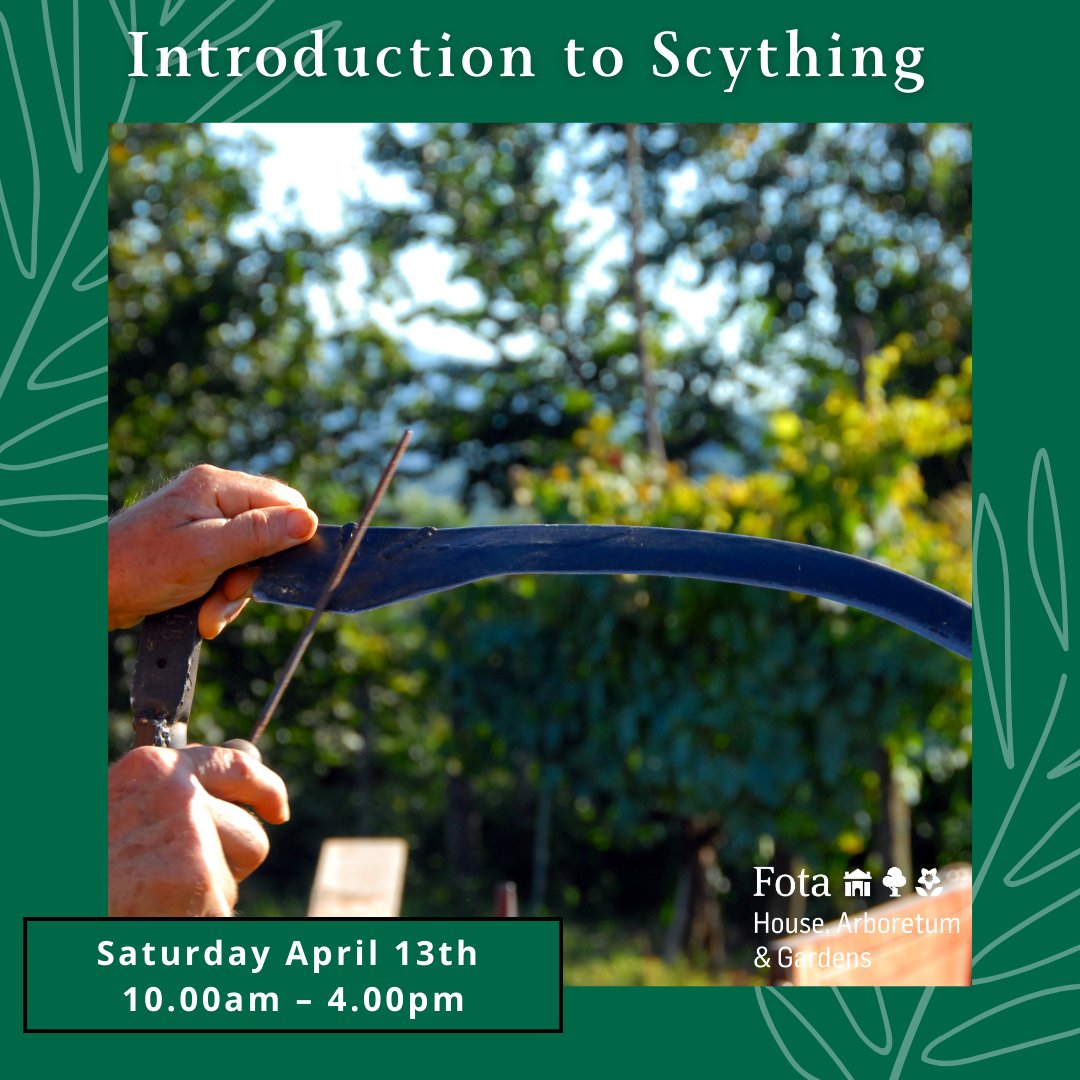 Join us for an exciting Scything course in our beautiful Victorian walled gardens. Beginners or experienced - all welcome. Saturday April 13th, 10am-4pm. €80, includes welcoming refreshments and lunch. Pre booking required as limited spaces. Book Now: bookings.fotahouse.com/Event/SCYTHING