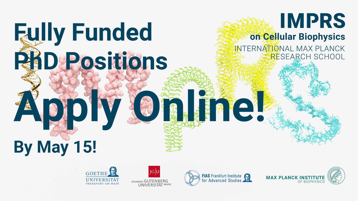 Looking for a #PhDposition in the #LifeSciences? #Apply to our #gradschool on cellular #biophysics! Prepare your documents &amp; contact your referees. We look foward to get to know you👉imprs-cbp.mpg.de/call-for-appli…
#imprs #phd <a href="/goetheuni/">Goethe-Universität</a> <a href="/uni_mainz/">Universität Mainz</a> <a href="/fias_science/">FIAS</a> <a href="/MPIbp/">Max Planck Institute of Biophysics</a> <a href="/maxplanckpress/">Max Planck Society</a>