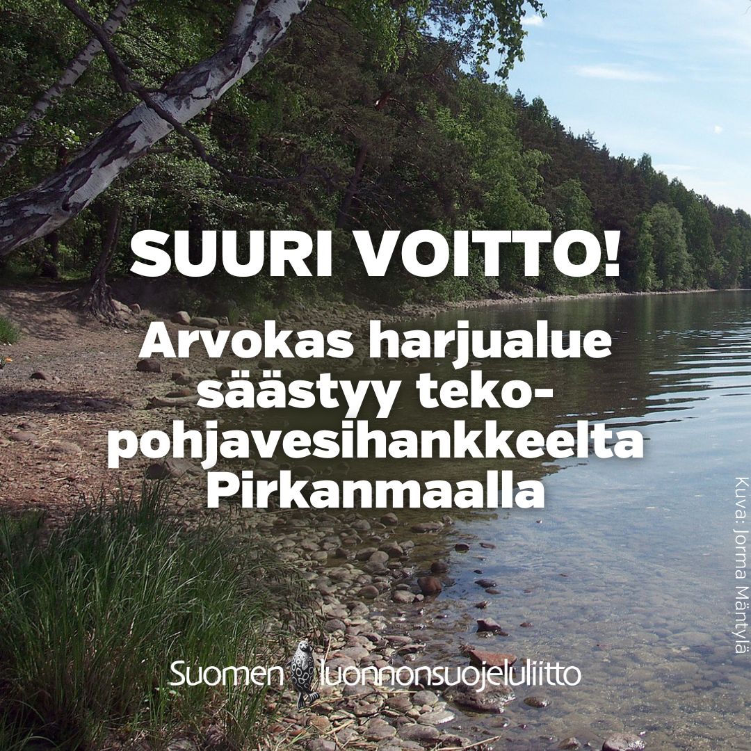 Hurraa! 20 vuoden työ palkittiin Pirkanmaalla, kun KHO hylkäsi Tavasen vesilupahakemukset ja Vehoniemenharju säästyy tekopohjavesihankkeelta. Kalliin hankkeen mittavat vaikutukset olisivat kohdistuneet luonnonsuojelu- ja Natura-alueille. sll.fi/2024/04/02/20-…