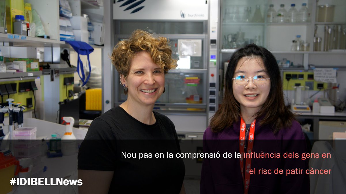 S'identifiquen noves variants del nostre DNA🧬 que poden impactar de forma significativa en el desenvolupament del #càncer. El 62% havien passat prèviament desapercebudes.

llegeix la notícia 👉🏼 idibell.cat/2024/04/nou-pa…