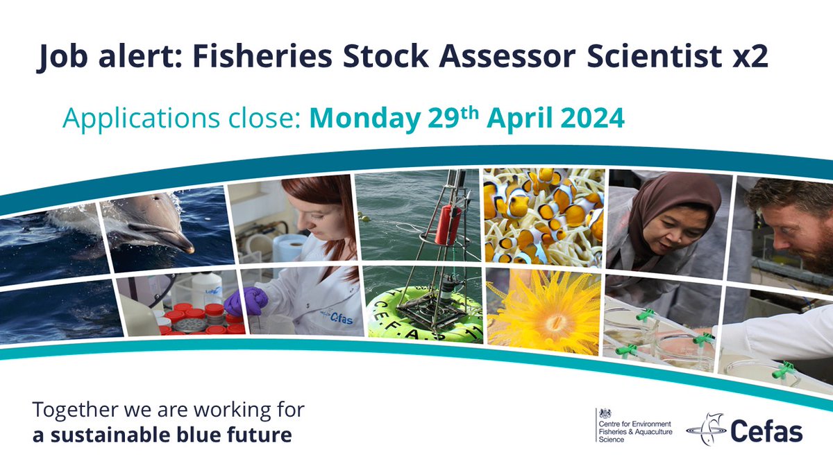 #WeAreRecruiting Two Fisheries Stock Assessor Scientists to work within the Fish and Fisheries Assessment (FFA) group to lead and support the delivery of fisheries science, fisheries stock assessment and management advice. Full details: bit.ly/4aC62hZ