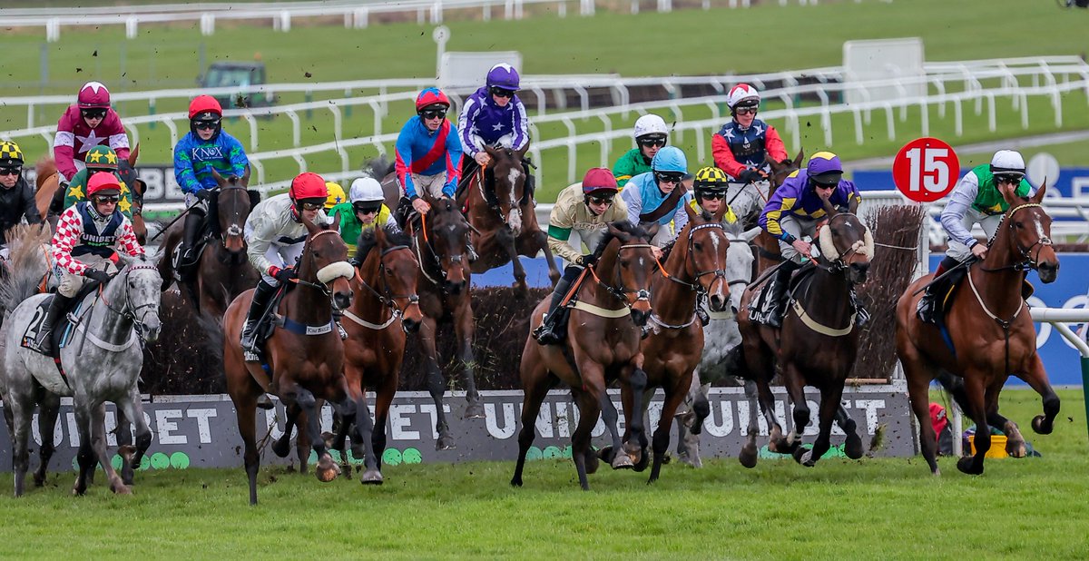 📩 April's PJA newsletter has been sent! This issue contains: 🏇 @AintreeRaces @RandoxOfficial Festival Arrangements 🗓️ Sunday Racing Survey ❗️ Updates to the Rules of Racing @BHAHorseracing 🆕 Upgraded Facilities @ponteraces Unveiled 🔗 mailchi.mp/thepja/randox-…