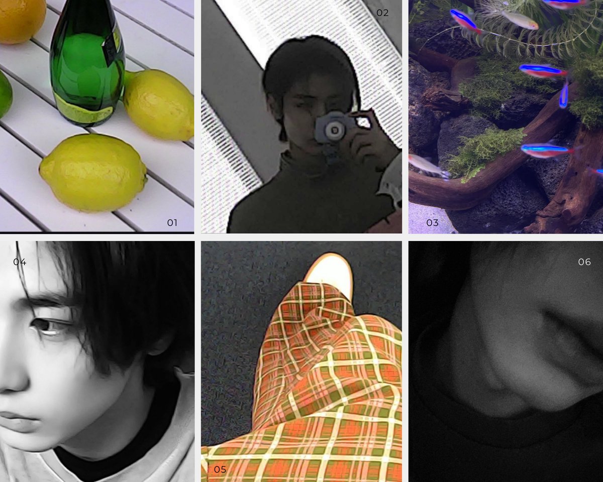 𝖭𝗈𝗂 tweet media