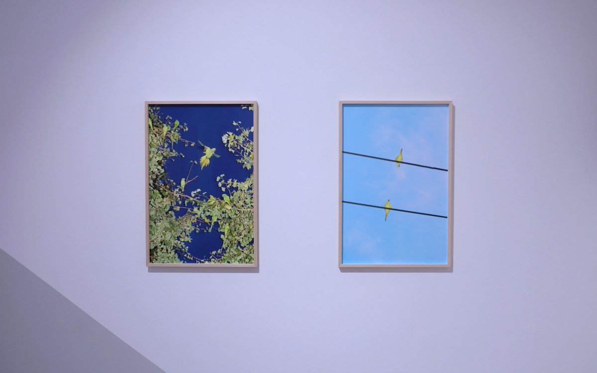 GalleriesNow's tweet photo. Today's #ShowoftheDay is Yoshinori Mizutani – Tokyo Whispers @ChristopheGuyeGalerie, Zürich. Open until Saturday 1 June.
#Zurich #GalleriesNow #exhibition #artgallery #artexhibition #contemporaryart https://t.co/pdouPBjAHW