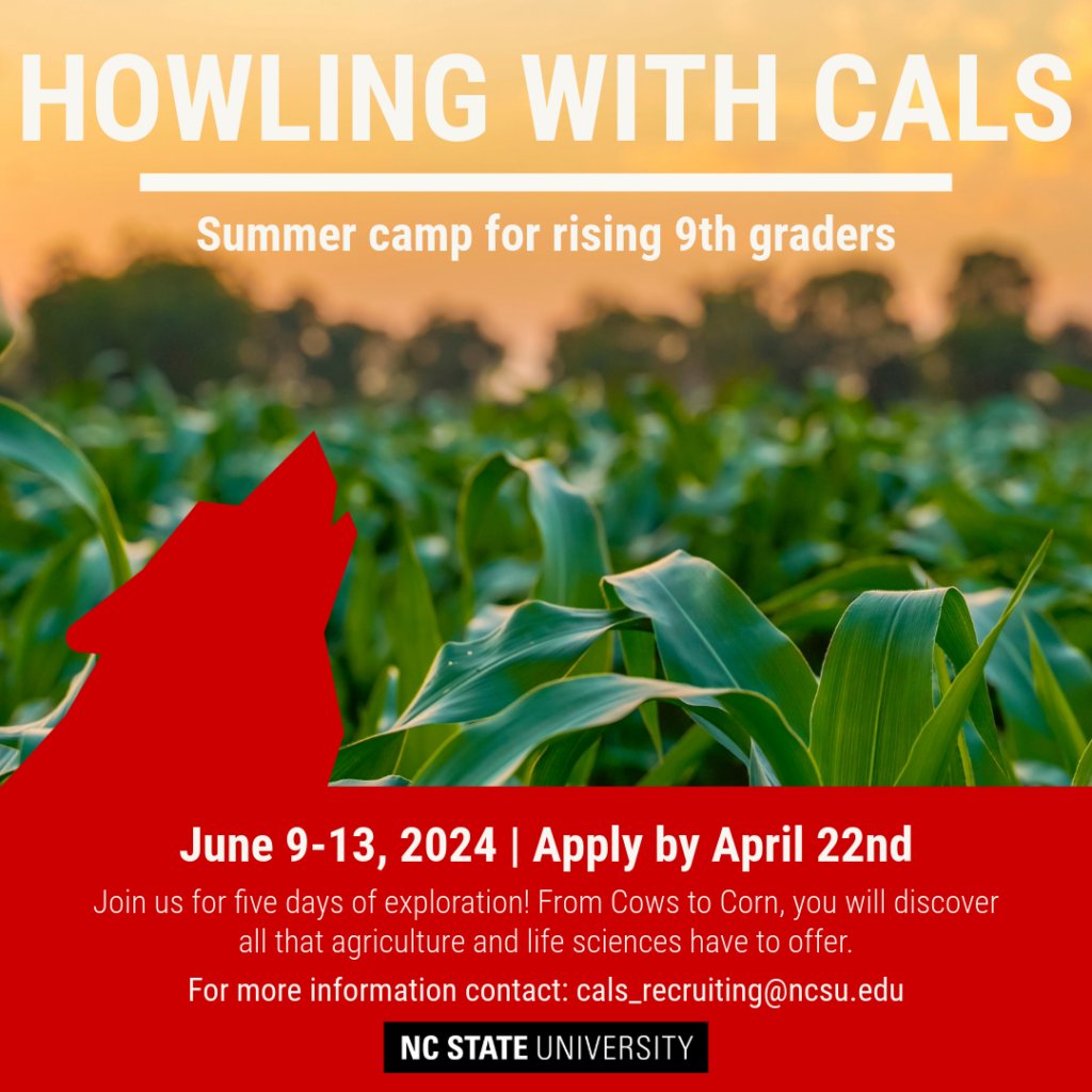 Is your rising high school freshman interested in ag and life sciences? 🌾🔬 Our Howling with CALS Camp offers rising high school freshmen from rural N.C. counties or underrepresented communities the opportunity to learn about NC State CALS. Apply today: ncst.at/acZH50R6FHz