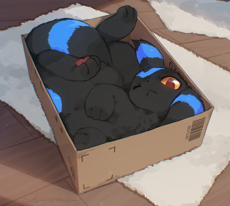 Cozy box