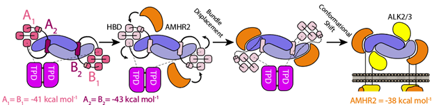 Tom Thompson Lab tweet media
