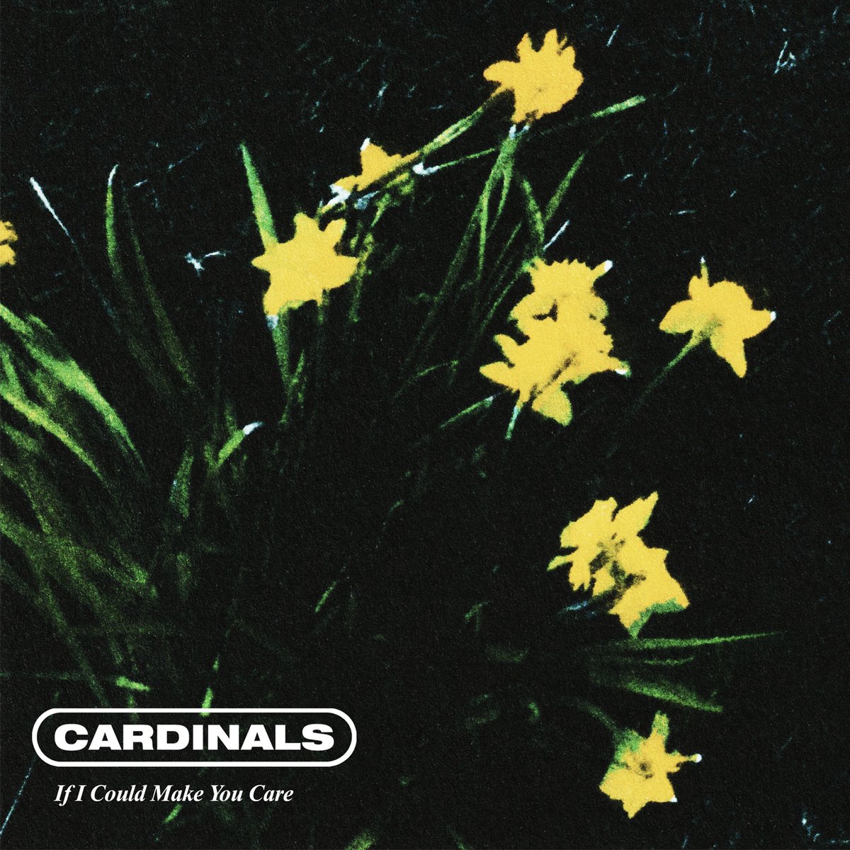 So Young Records | Cardinals' have announced their debut self-titled EP is coming 7th June. ‘If I Could Make You Care’ is out now.