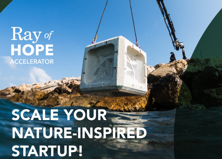 Our friends at @BiomimicryInst are accepting applications for the 2024 Ray of Hope Accelerator. 10 nature-inspired #startups from across verticals that are scaling systematic solutions to the world's most pressing environmental challenges are welcome to apply by May 3rd, 2024.