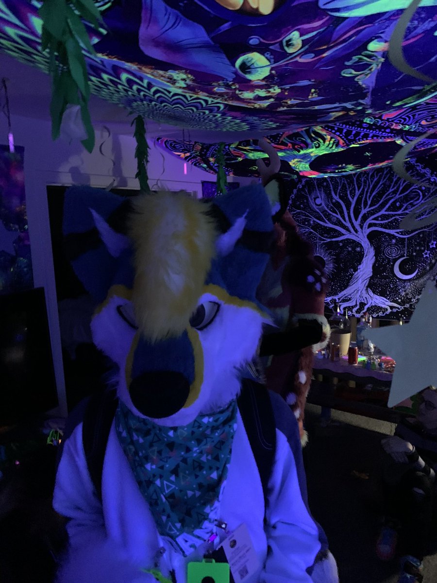 CopperYopper's tweet image. Least colorful #LVFC party
Ft. @DannoDoggo