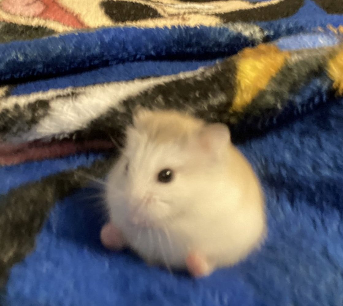 kirby ass mf