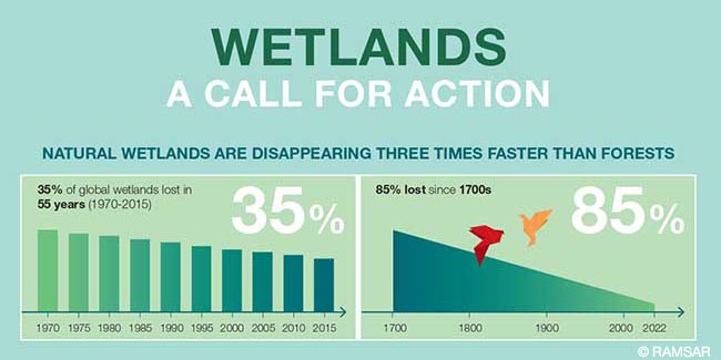 Despite being one of our most valuable ecosystems for people and #nature, wetlands are Earth’s most threatened ecosystem. @RAMSARCONV