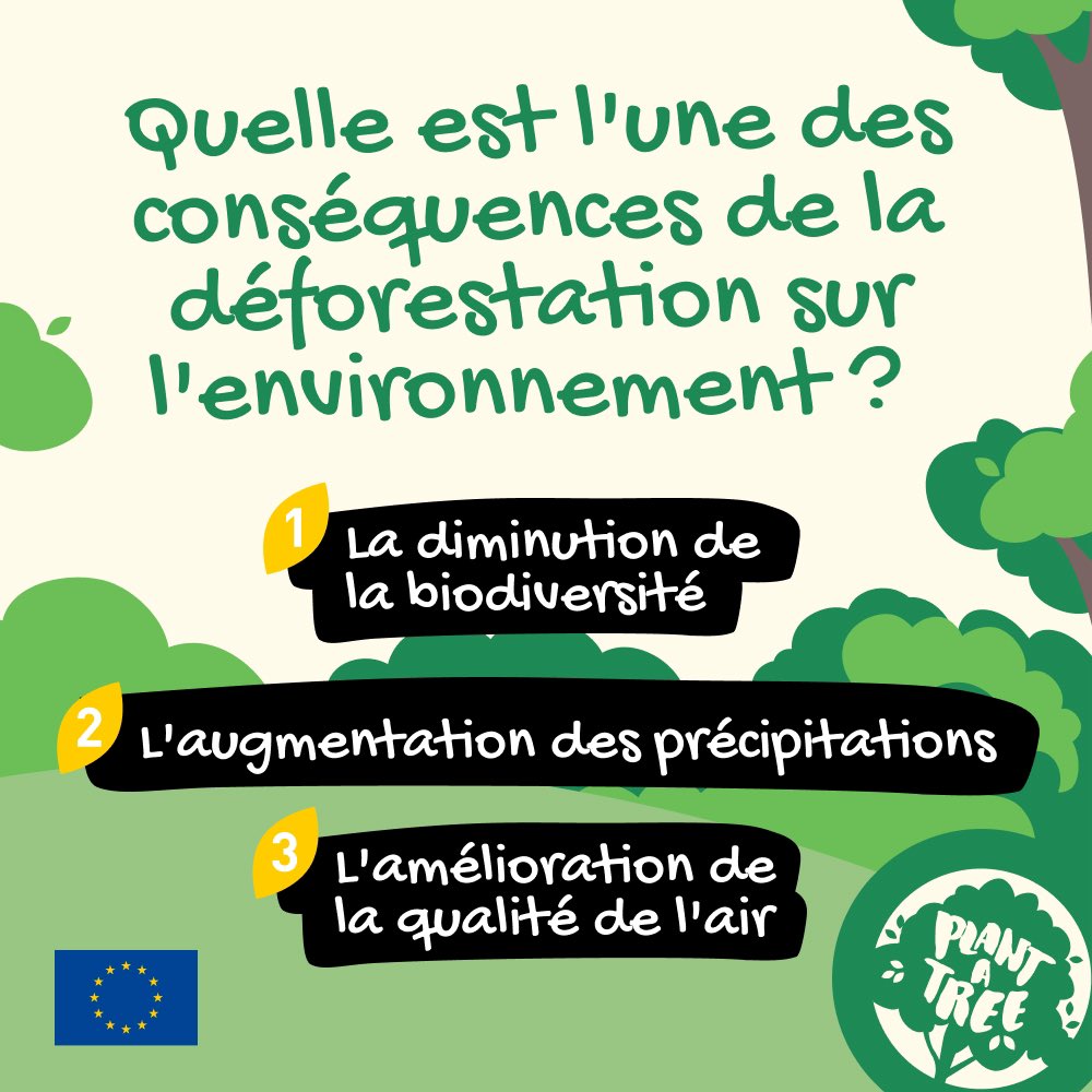 L'UE au Cameroun et pour la Guinée équatoriale tweet media
