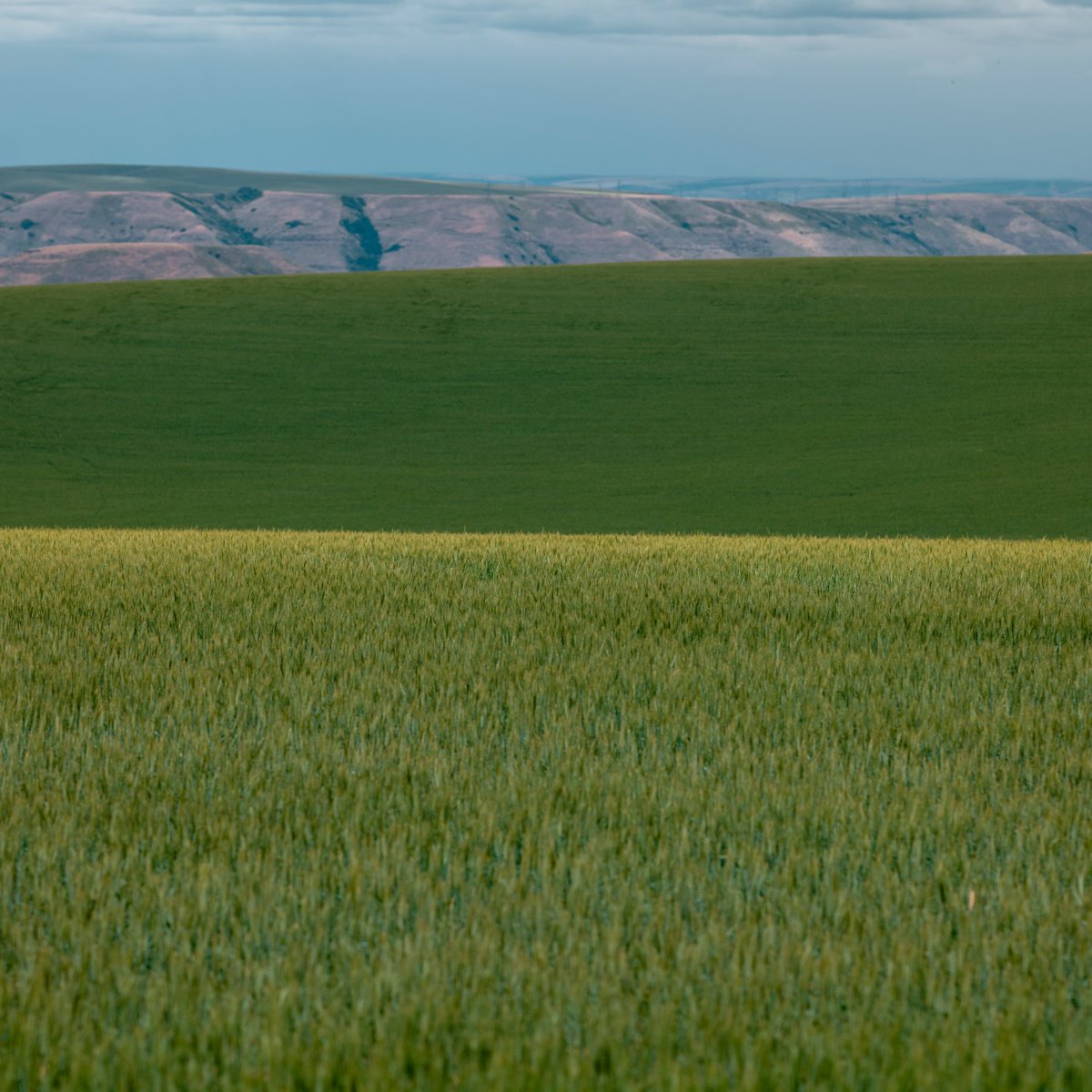 Corteva U.S. tweet media