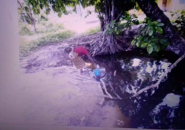 From a shallow, ponded spot in this coastal community in Bayelsa State, this lady holding her baby with her left hand, was fetching water for domestic use, drinking and cooking. This is the ugly situation with most Coastline communities, on the Atlantic Coastline. This is Ezetu.