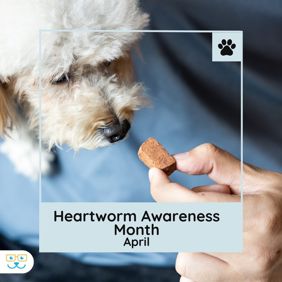 Ensure your pet's safety from heartworm! Protect your dog with regular preventive medication and check-ups to safeguard against this serious disease. #vieravet #HeartwormAwarenessMonth #HeartwormAwareness #HeartwormTreatment #HeartwormDisease