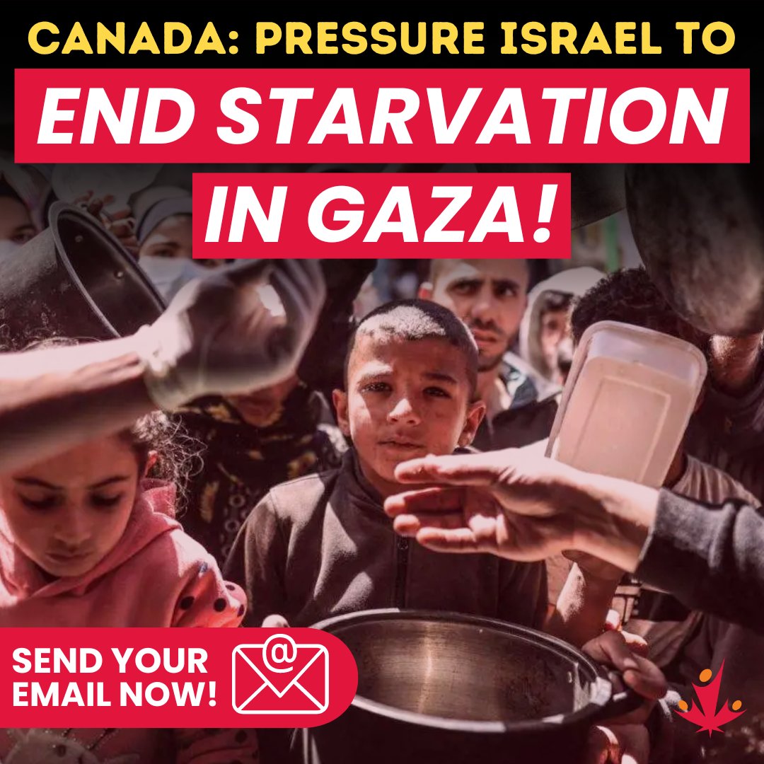 🚨 Palestinians are starving to death in Gaza as the inevitable consequence of Israel's siege. Send an email to <a href="/JustinTrudeau/">Justin Trudeau</a>: Canada must pressure Israel to end its man-made famine &amp; stop blocking humanitarian aid: cjpme.org/end_starvation…