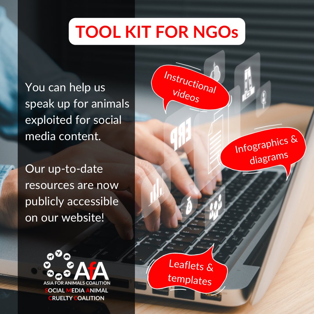 SPREAD THE WORD! SMACC is ecstatic to announce the launching of the 'NGO Toolkit' webpage, accessible to all animal protection organizations and anyone around the world! Head to smaccoalition.com/ngo-toolkit to find out more!