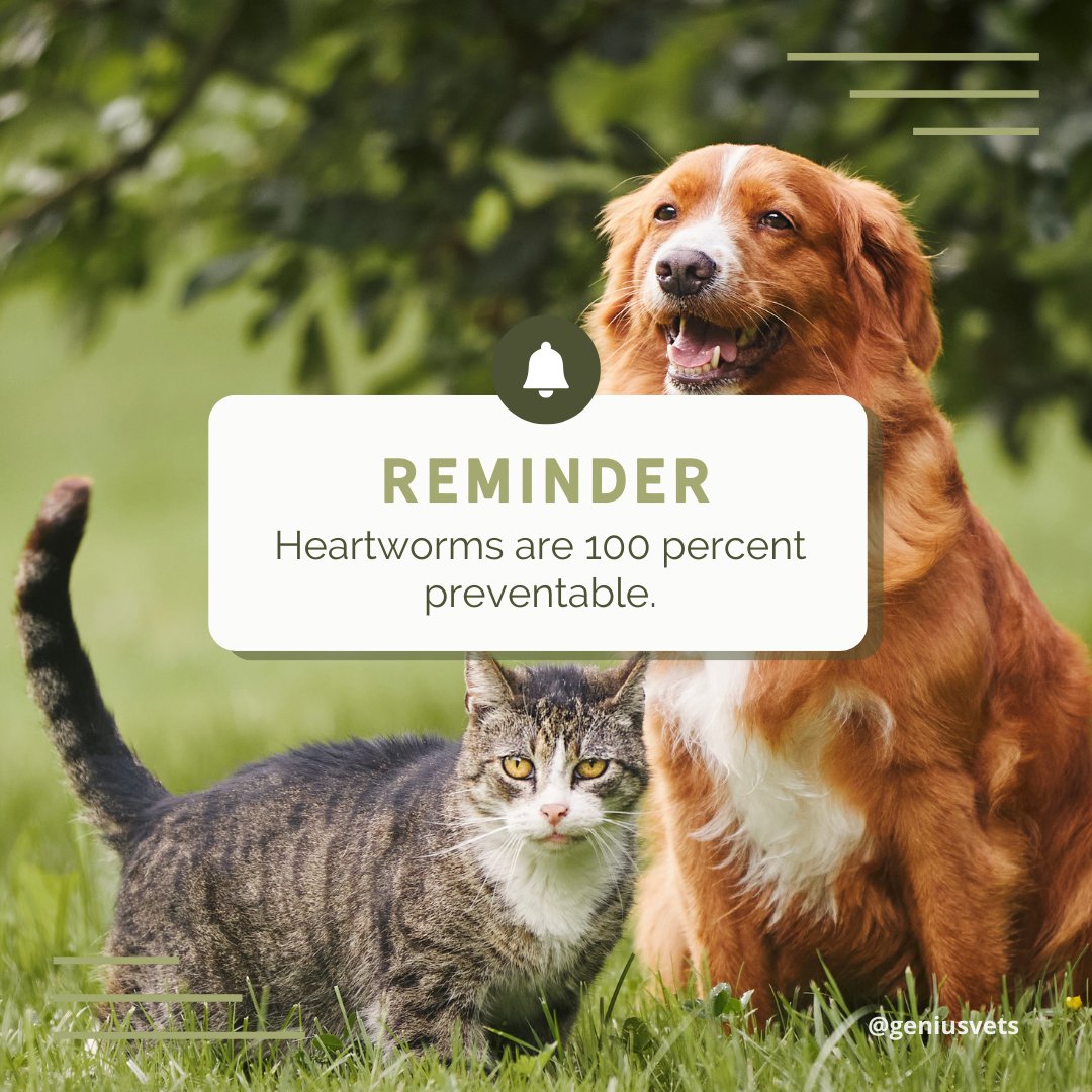 It's Heartworm Awareness Month! 🐶❤️ Don't forget to keep your pets protected with preventive measures against heartworm. Contact us to learn more about the best preventative for your pet. #vieravet #HeartwormAwarenessMonth #HeartwormAwareness #HeartwormTreatment #Heartworm ...