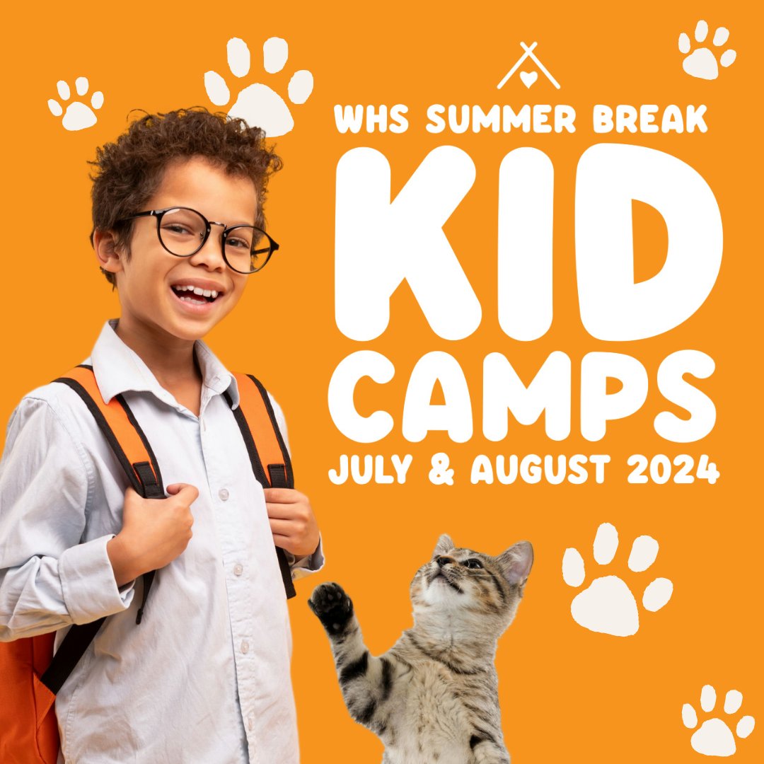 Registration is now open for our Summer Break Kid Camps! 😎🌞 If you have a child at home who is passionate about animals and wants to know more about the work we do, don’t miss out the chance to get them in on the fun and learning:winnipeghumanesociety.ca/your-family-pe…