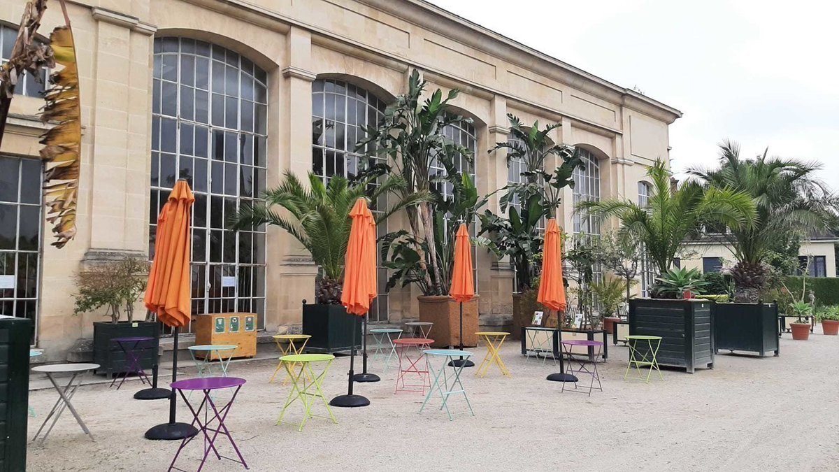 La Ville de @CaenOfficiel lance un appel à candidatures dans le cadre d'une occupation temporaire du domaine public pour l'exploitation d'un espace de restauration au sein de l'Orangerie du jardin des plantes de #Caen 📢 urlz.fr/q78a