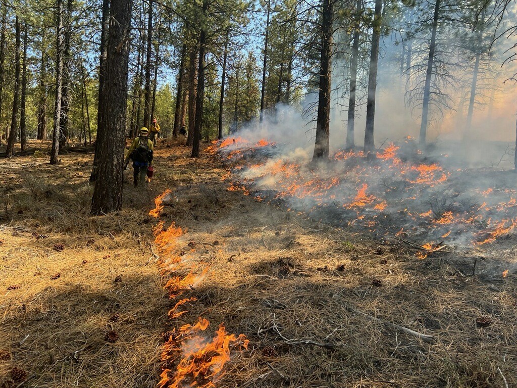 🔥Spring prescribed burning season on the Deschutes National Forest is just around the corner. Firefighters are monitoring vegetation moisture levels and weather patterns to identify opportunities for ignitions. ℹ️ centraloregonfire.org/2024/04/01/des…