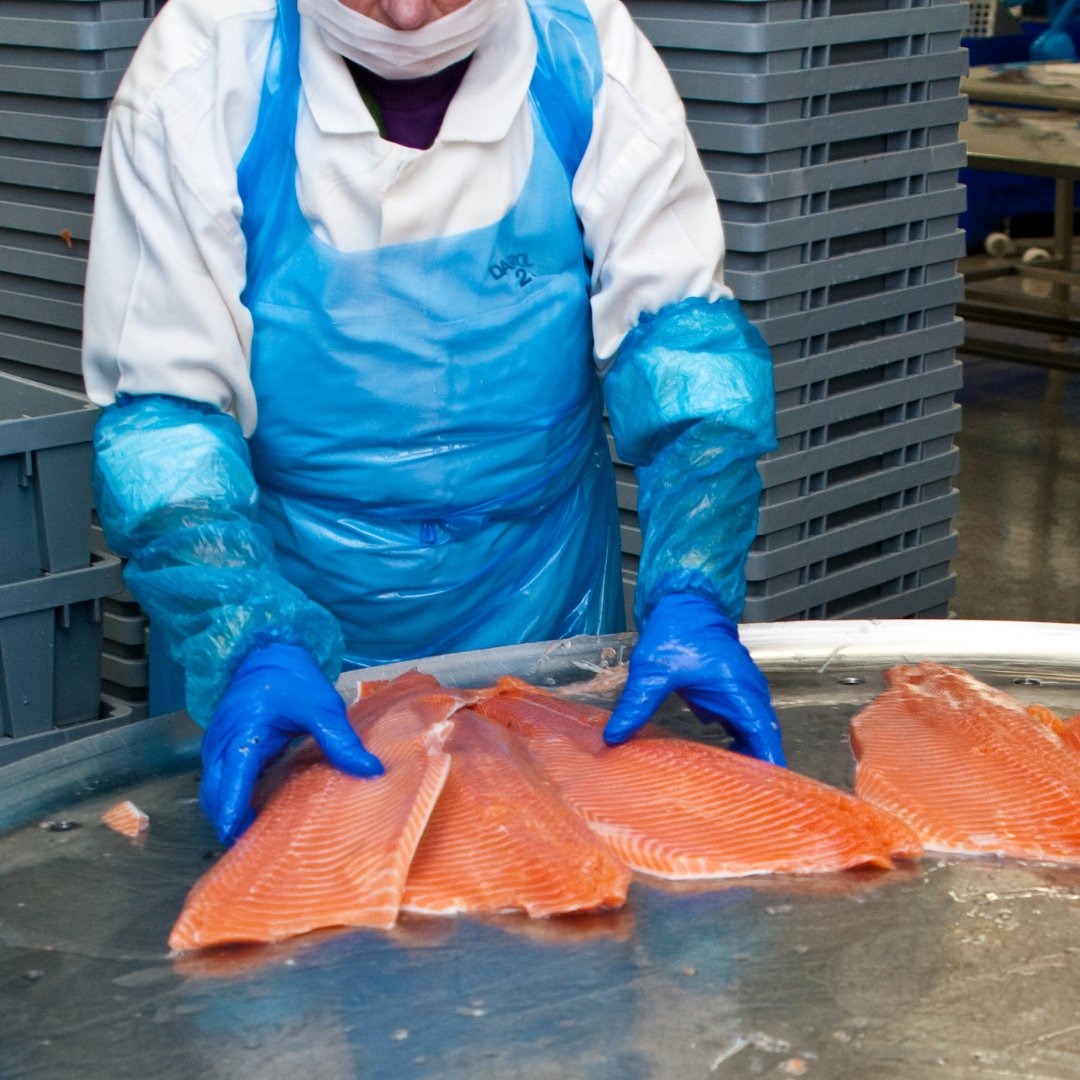 Palhygiene tweet media