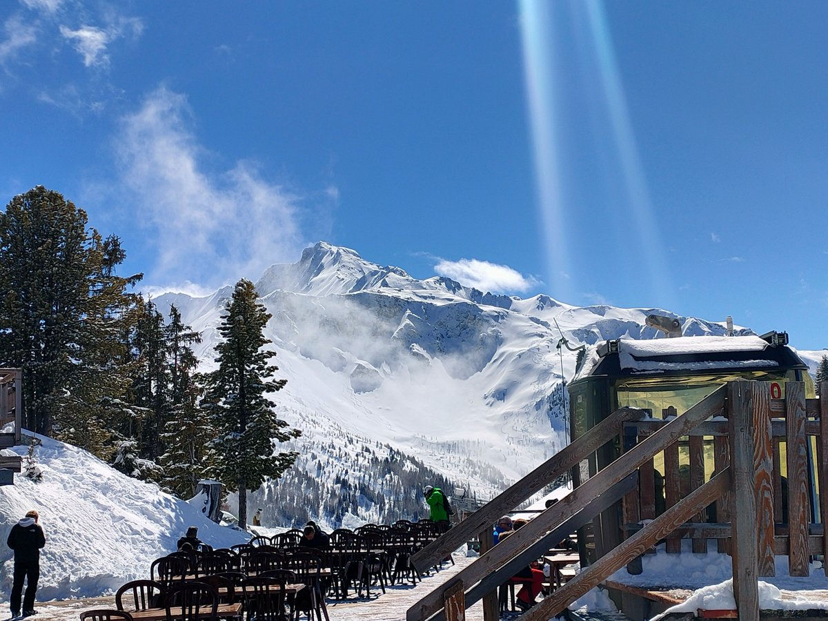 Prof Amanda Farrin 🕷️🇪🇺 💙 tweet media