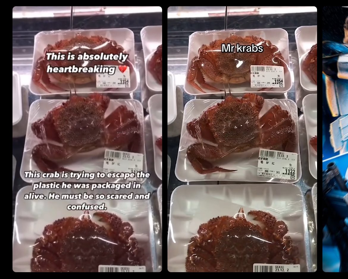 Brendan Cormack tweet media