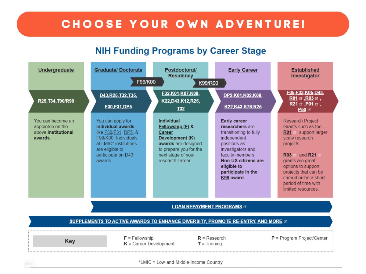 💡Did you know that you can apply for an #NIHLRP award at any stage of your research career? Check out the updated career path graphic bit.ly/3R3Dh7w 💻📊🔍 #AcademicChatter #phdchat #ecrchat