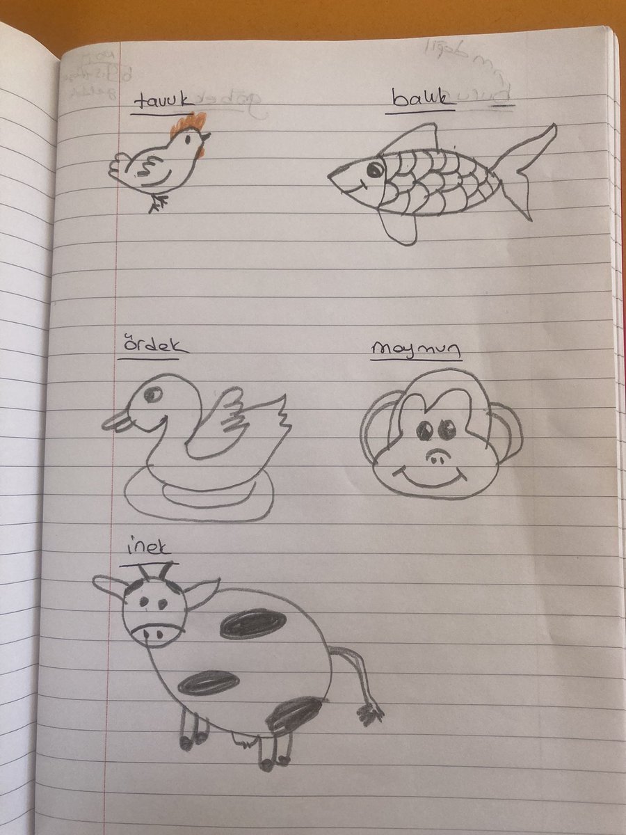 Çocuklar bence anladı.