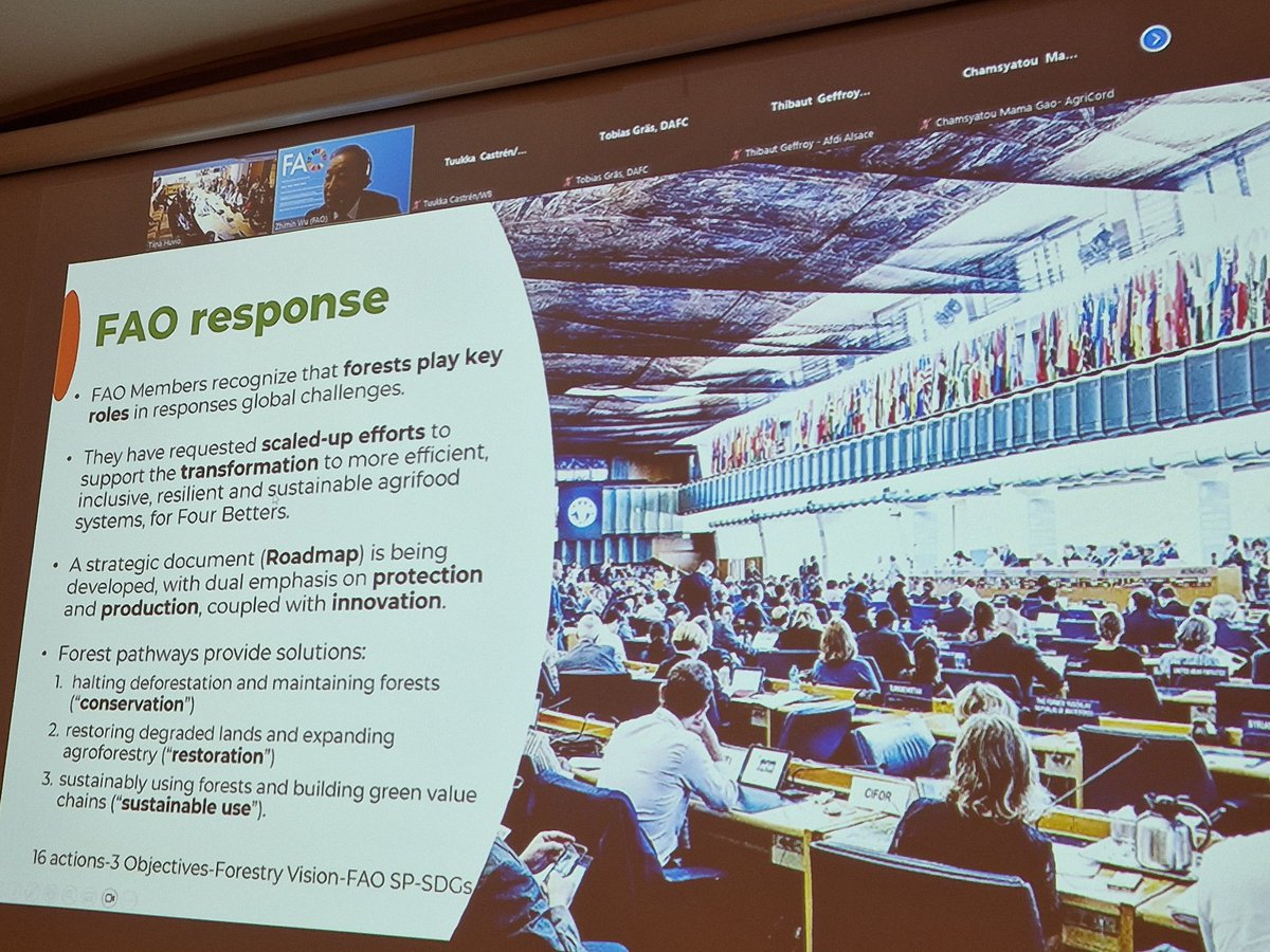 Producing more with less is needed also in the forestry sector 🌲🌳🍃 We need to diversify also our forest products, and collaboration between the private sector, government and other stakeholders is key  🤝

#ForestryDevelopment #seminar 

<a href="/Siemenpuu/">Siemenpuu</a> <a href="/WorldBank/">World Bank</a> <a href="/FAO/">Food and Agriculture Organization</a>