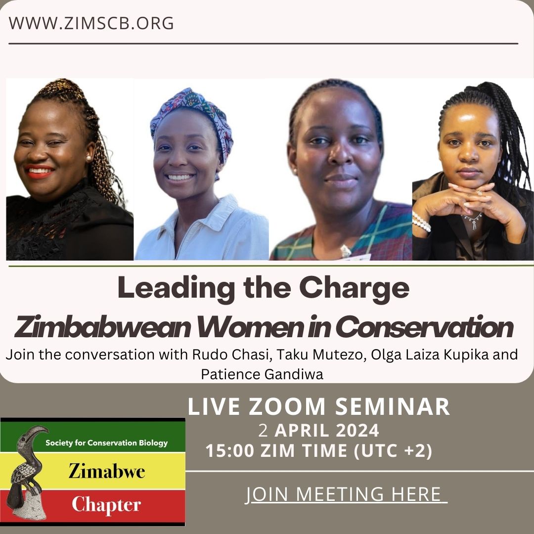 Join us today. 💚🐢✨️🇿🇼
Society for Conservation Biology is inviting you to a scheduled Zoom meeting.

Topic: SCB Zimbabwe
Time: Apr 2, 2024 03:00 PM Harare, Pretoria

Join Zoom Meeting
us02web.zoom.us/j/82864645702?…

Meeting ID: 828 6464 5702
Passcode: 140488